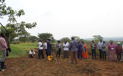 Improved pasture (rangeland) management; with support from the E.U