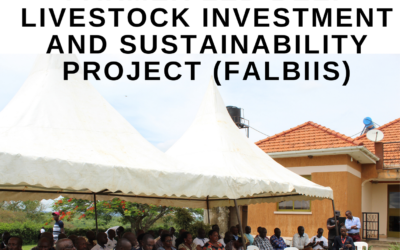 Cattle farmer dialogue, mobilization, and sensitization for E.U FALBIIS project